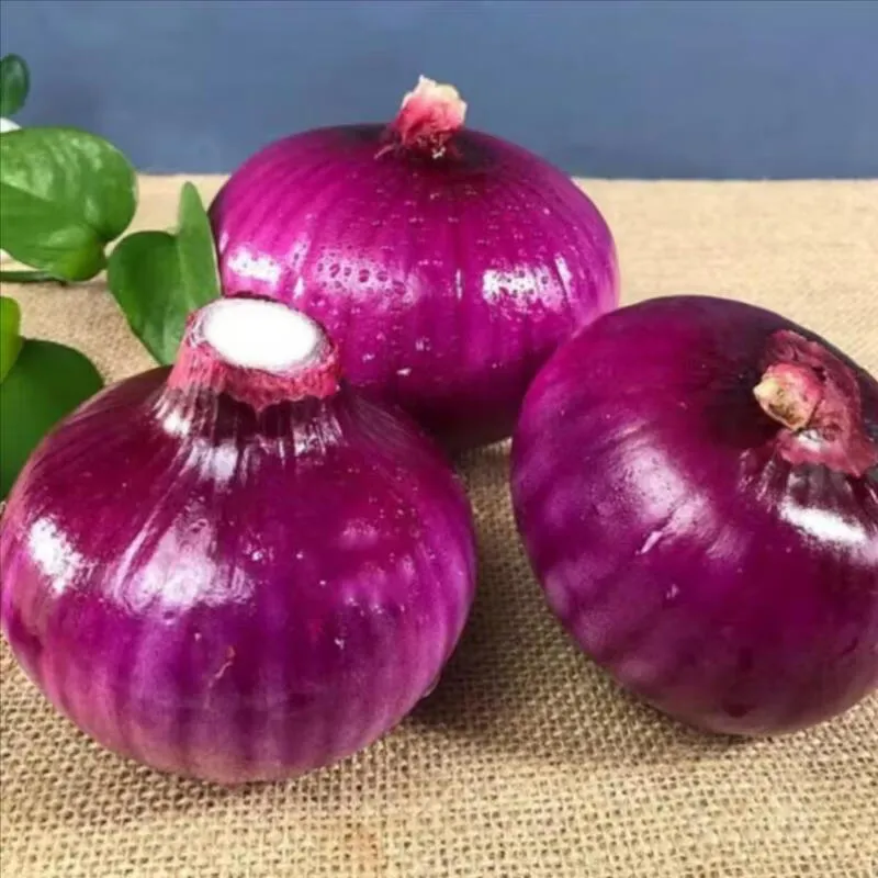 🧅 生吃都甘甜！甘肃紫皮洋葱的凉拌高光时刻