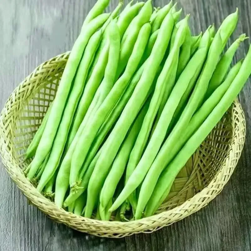 菜场真香定律🌿包装越土,越新鲜🥬