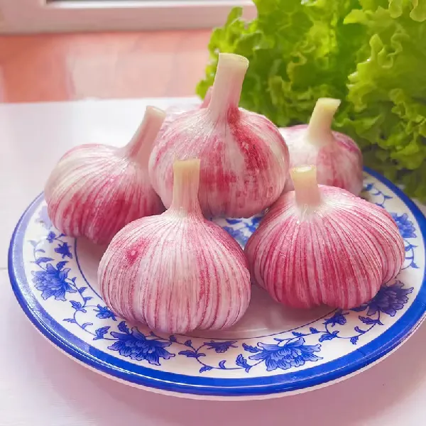 紫皮大蒜YYDS,不愧是厨房里的黄金配角👨🍳