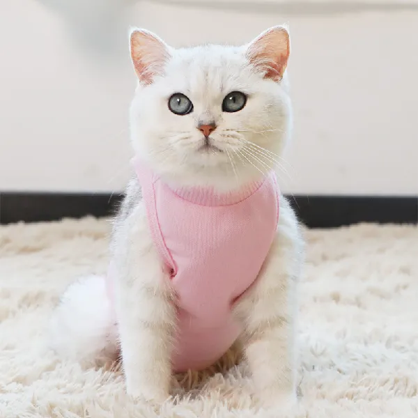 欢宠网宠物猫咪绝育服，猫猫术后防舔恢复好帮手！