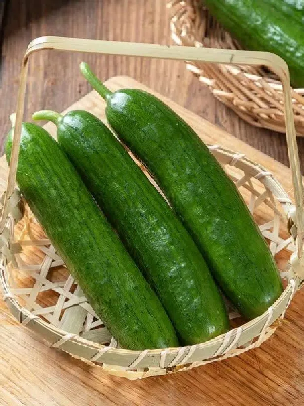 不允许还有人没吃过这款现摘水果小黄瓜😭