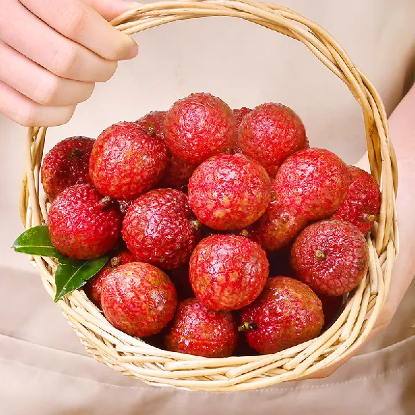 优味集广东白糖罂荔枝 | 高州当季新鲜带枝 5斤家庭畅享装