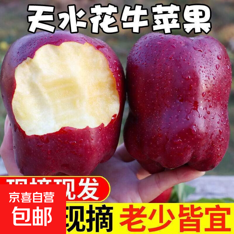 【现摘】正宗甘肃天水花牛苹果蛇果红果粉面脆甜老人孕妇宝宝辅食 普箱天水花牛苹果带箱1斤65mm-70mm