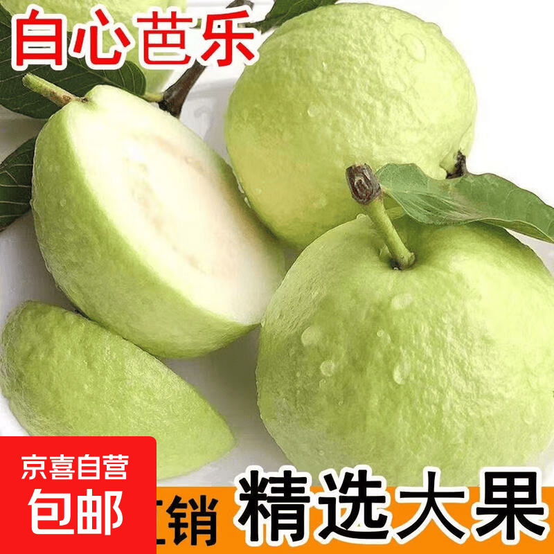 京喜加 正宗芭乐白心正宗珍珠番石榴低糖应季新鲜水果 净重3斤装单果120g+