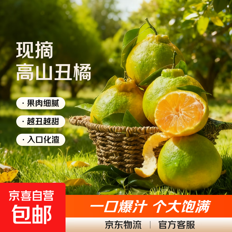 高山丑橘丑八怪当季新鲜薄皮水果橘子整箱包邮 带箱1斤装
