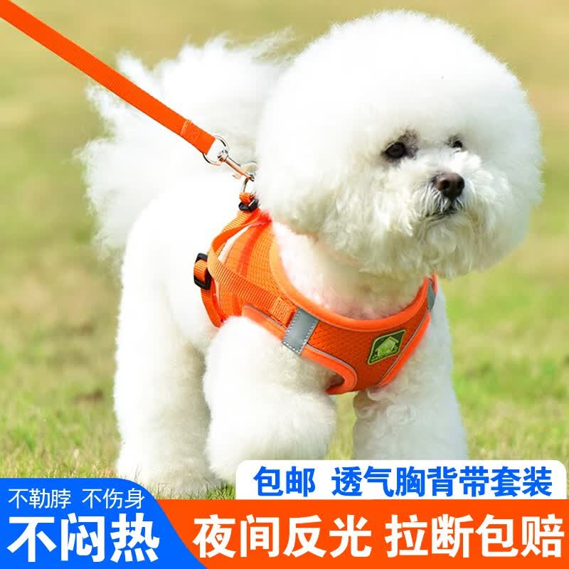 迪普尔狗绳狗狗牵引绳拴狗链子胸背带宠物猫咪小狗中型犬小型犬遛狗绳子 橙色M-（建议体重6-9斤）