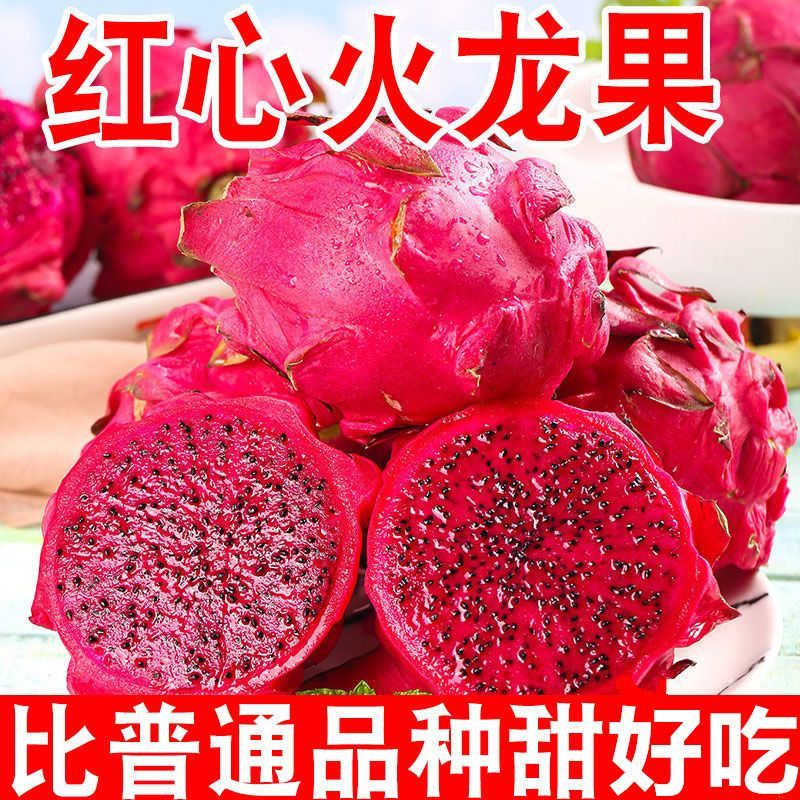 【头茬尝鲜】现摘正宗红心火龙果 水果新鲜当季整箱孕妇水果 5斤(净重4.5斤) 精选装单果150-250g