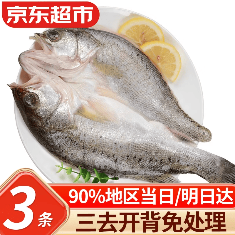 优牧冠 新鲜冷冻海鲈鱼/河鲈鱼随机 去鳞去鳃去内脏 三去 【开背加大号】(净重)500-600g*3条装