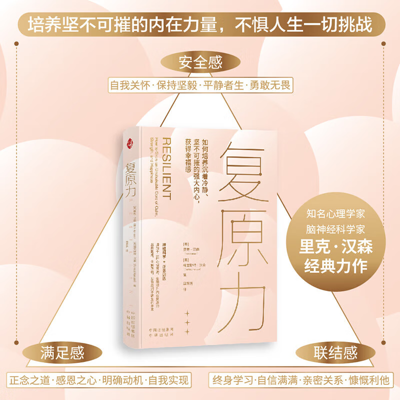 【官方正版】复原力 美国神经心理学家里克·汉森博士的畅销作品 心理学正念训练神经科学 十二种心理资源全面提升内在复原力 复原力 无规格