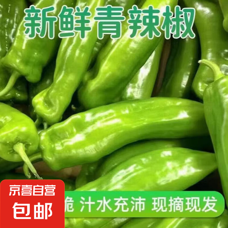 新鲜青尖椒超市生鲜蔬菜下饭菜虎皮尖椒鸡蛋伴侣 专享 2斤 含箱