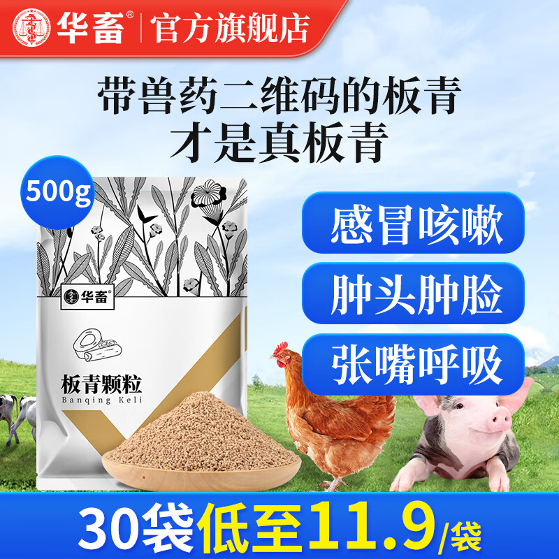 华畜 兽药板青颗粒兽用国标兽药猪牛羊鸡药呼吸道药清热解毒发热感冒 1袋【买4宋1】国标板青颗粒500g