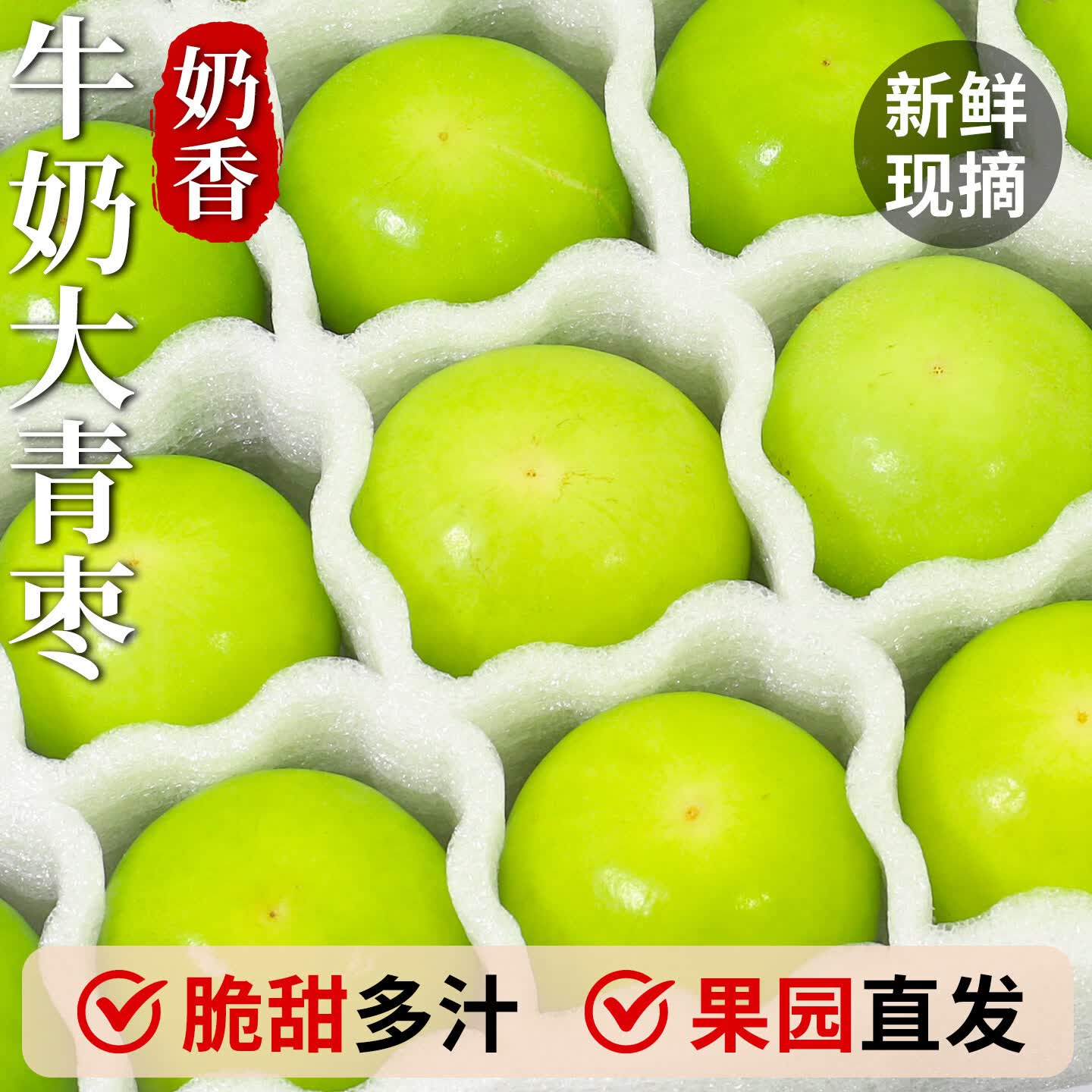 三萌果蔬牛奶大青枣 福建当季贵妃脆蜜枣新鲜孕妇新鲜水果节日送礼 5斤精选装净重4.5斤 单果60g+