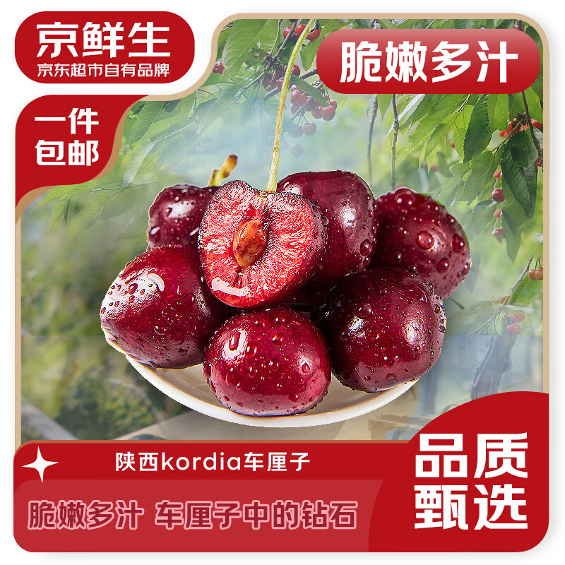 京鲜生 中国车厘子 科迪亚1.8斤 xl级小糖豆樱桃 生鲜水果 源头直发