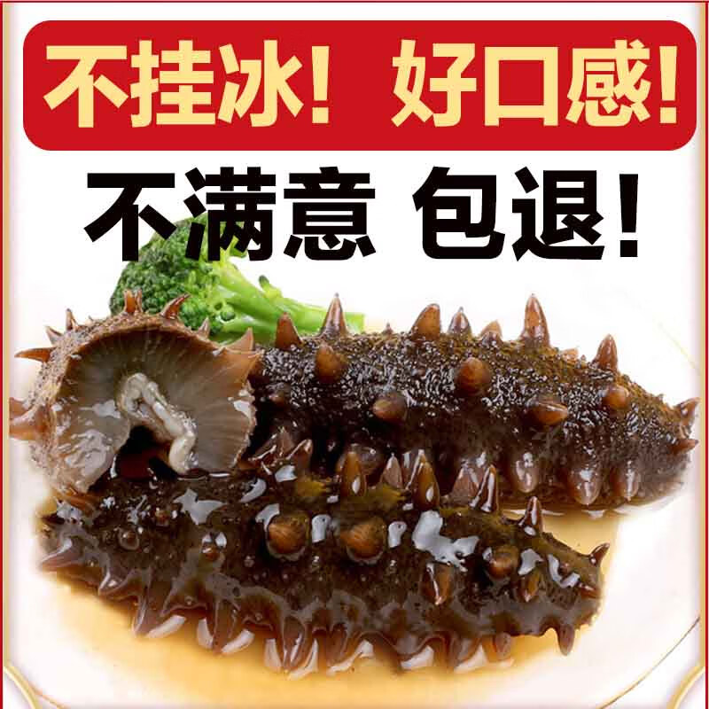 念参堂 即食海参500g长岛鲜活野生辽刺参海生海叁海鲜礼盒单个装 B款 500g 8-12只(个头适中)
