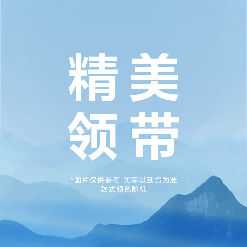 HLA海澜之家领带款式随机 款式随机 普通装