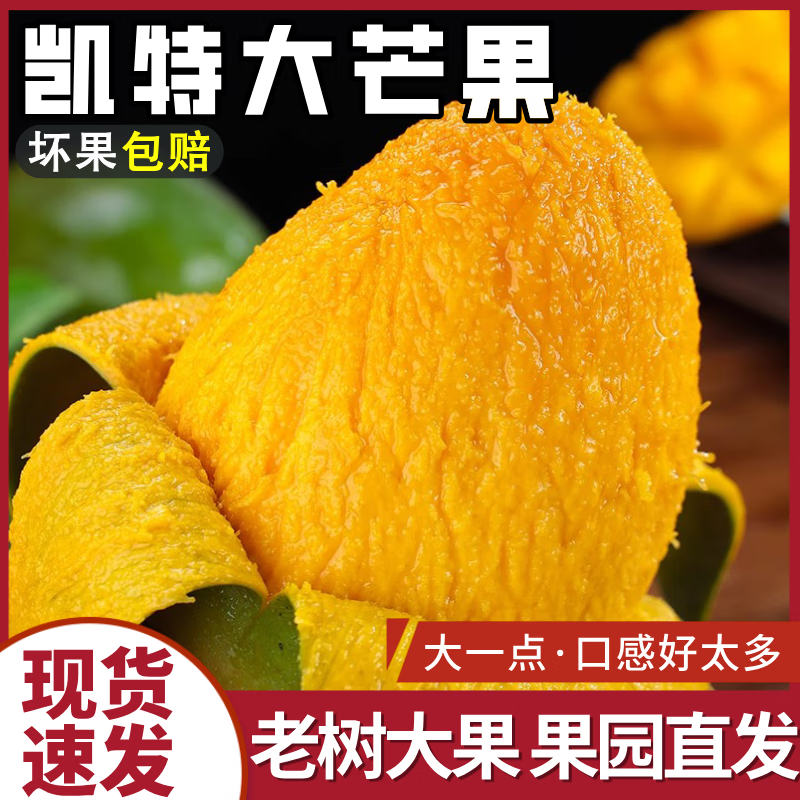 骑猴赶马正宗四川凯特芒当季新鲜水果现摘大芒果整箱送礼攀枝花凯特芒果 净重4.5斤【单果300-400g】尝鲜装 团购/售后详询客服