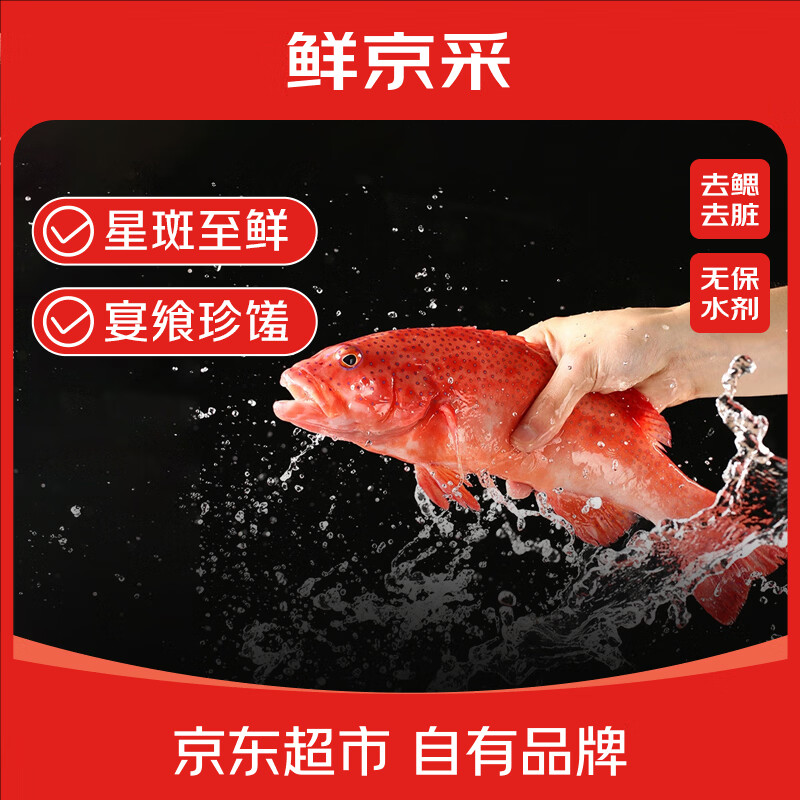鲜京采 海南二去东星斑(净重450-550g/条) 去鳃去脏 海鲜年货 源头直发