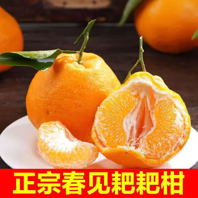 【产地直发】四川春见耙耙柑应季橘子柑橘 新鲜当季水果整箱现发 单果60-70mm 5斤带箱净重4.5斤