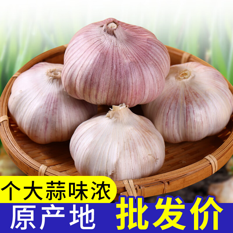 牛爱鲜 云南大蒜半干蒜紫白皮大蒜批发鲜蒜红皮蒜新鲜蔬菜 净重5斤单果3-5CM 露天自种助农生鲜蔬菜