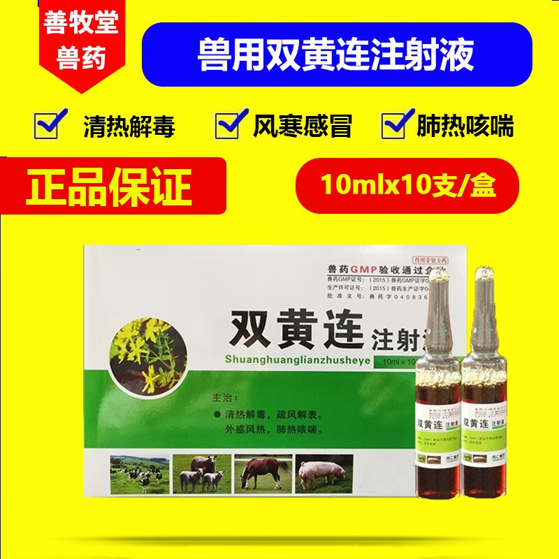 善牧堂兽用双黄连注射液10支装小宠物狗猫兽药犬病毒性肺炎猪牛羊兔兽药 10盒