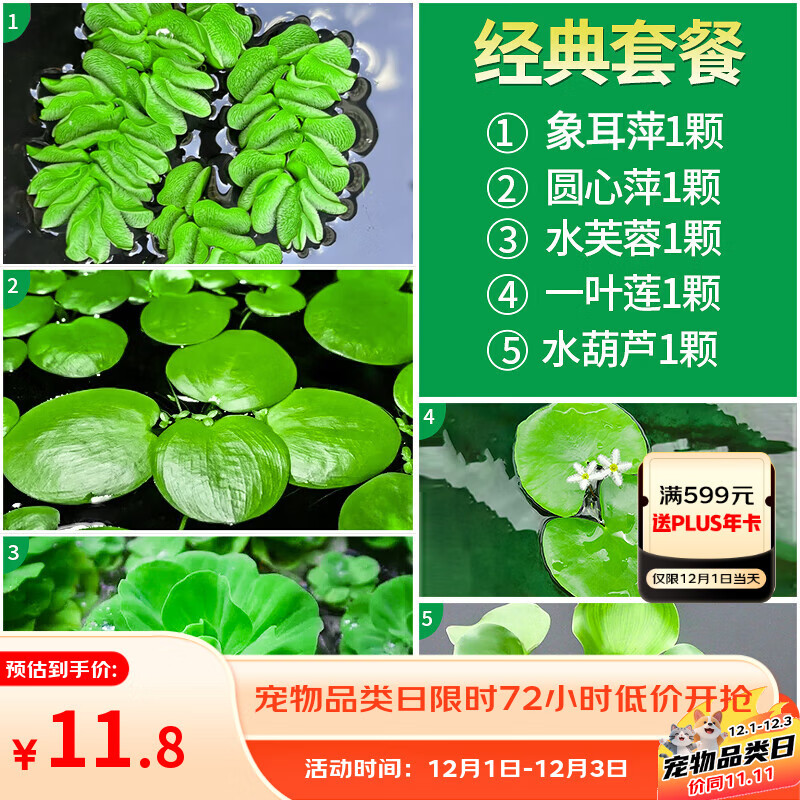 疯狂水草浮萍水草植物净化水质鱼缸造景水培植物经典造景套餐源头直发包邮