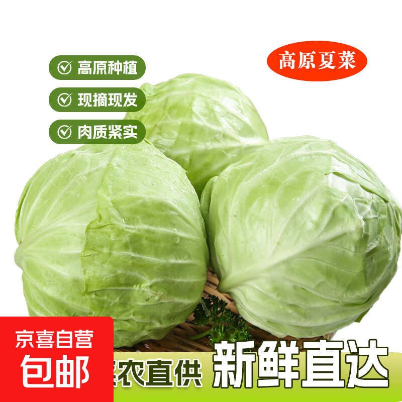 高原夏菜新鲜包菜卷心菜绿甘南菜甘蓝圆白菜时令蔬菜健康营养早餐 1.5斤-2斤高端标准菜