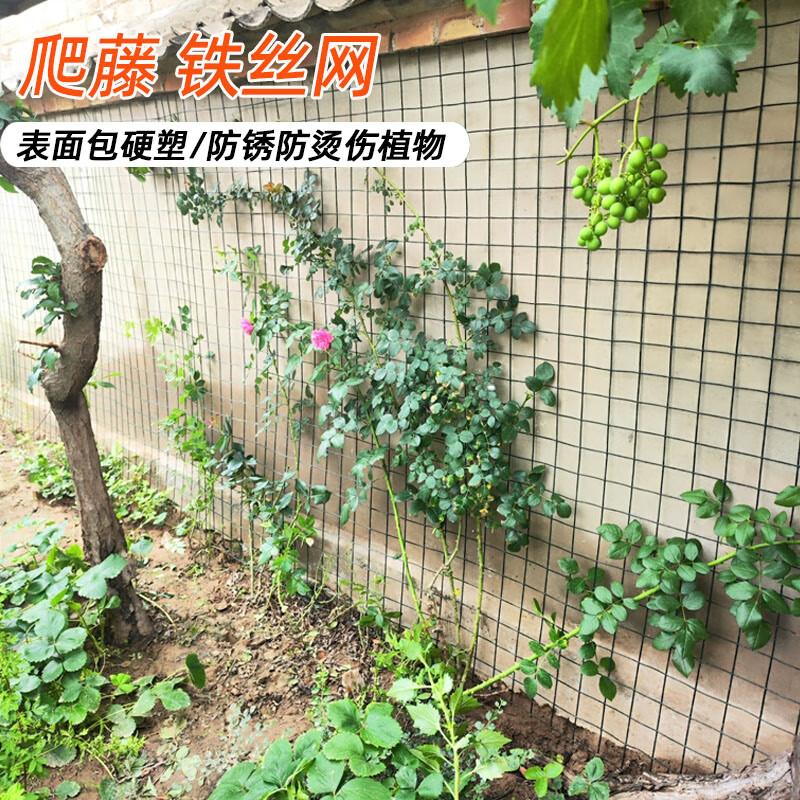 铁艺网格绿植爬藤上墙铁丝网 铁线莲月季花墙用网 包塑防锈防烫伤 1米高-6cm孔- 3米长（送钉子30+扎带30）
