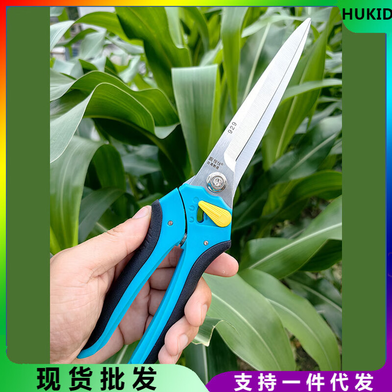 台湾制造靓傢伙枝剪加长刀刃修枝剪嫩枝剪刀园艺盆景进口 台湾原装进口靓家伙929