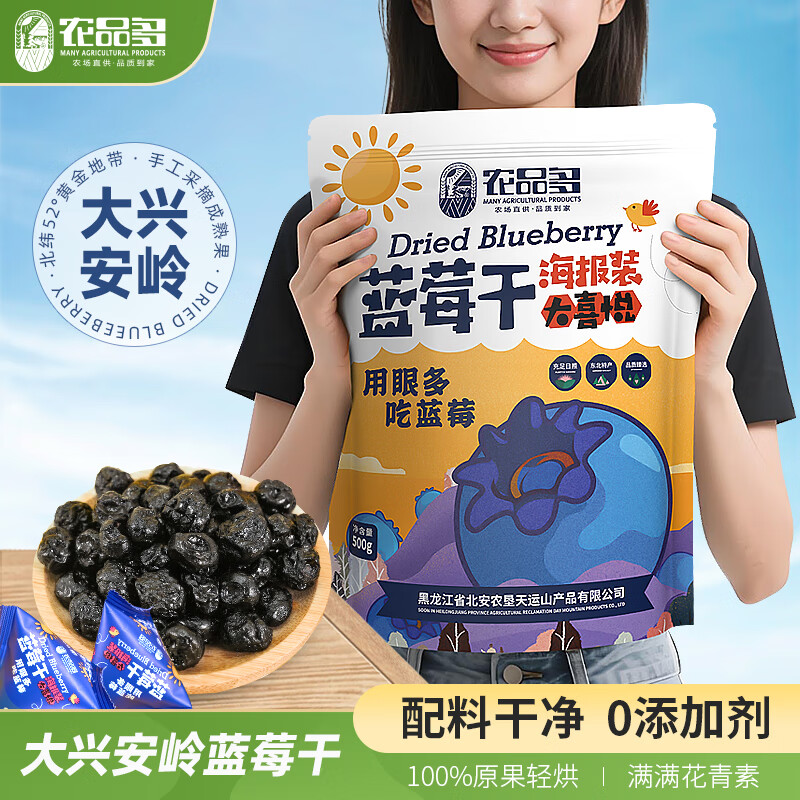 农品多蓝莓干500g装独立小包装果干 0添加剂果干肉脯休闲零食 解馋送礼 蓝莓干500g*1袋(约45袋小包)