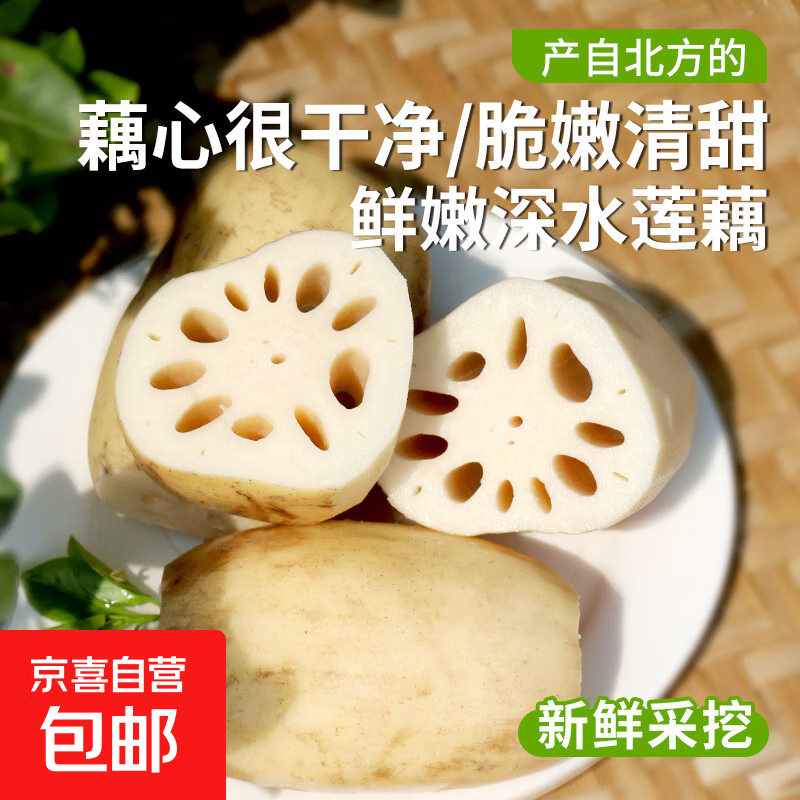 新鲜莲藕脆嫩多汁现发当季鲜藕下酒菜清甜凉拌 精品莲藕-2斤