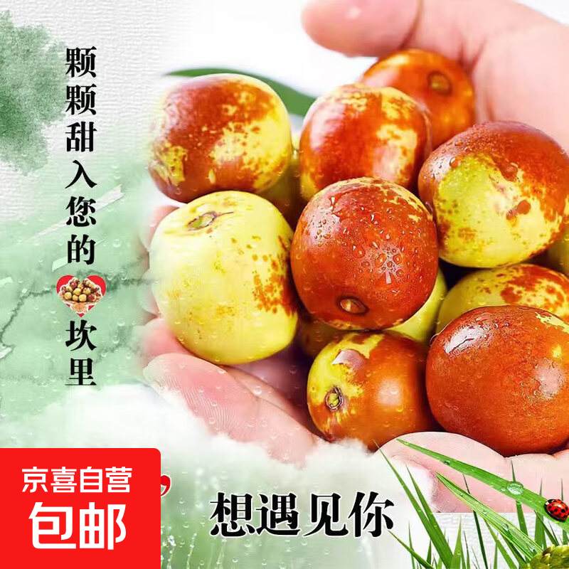 【现货】应季山东沾化冬枣脆甜冬枣新鲜水果鲜枣大枣脆枣 带箱1斤 单果10-12g