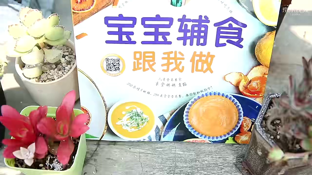 解锁科学喂养密码:《宝宝辅食跟我做》让喂养更轻松