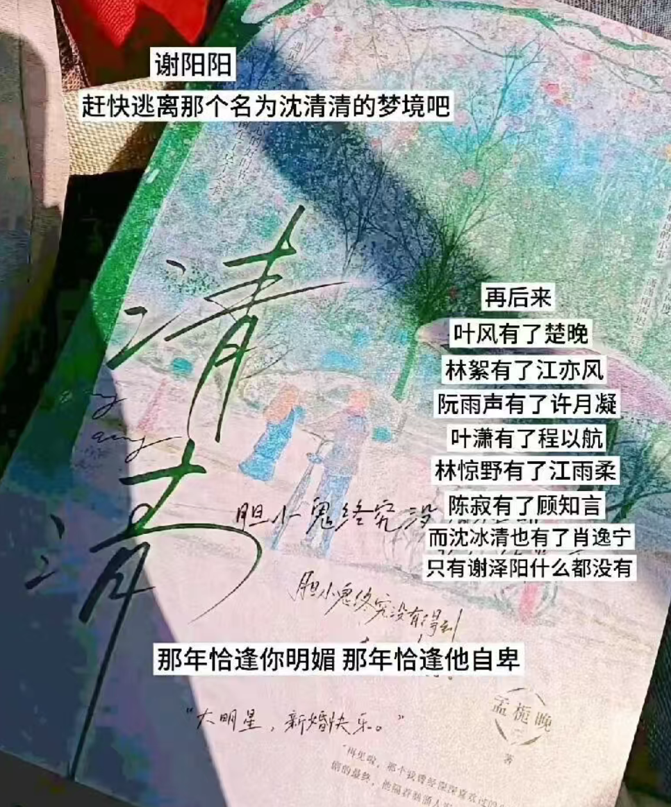 胆小鬼终究没有得到老天的眷恋“再见啦,那个我曾经深深喜欢过的少年。