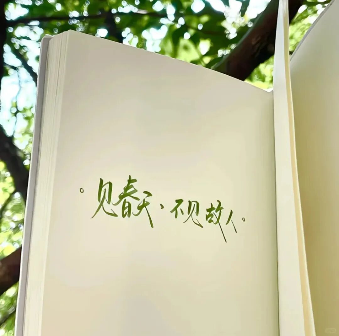 “ 青春是未命名的雨天 ”