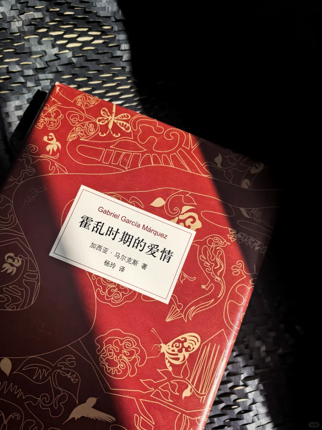 爱情是一场霍乱 至死方休