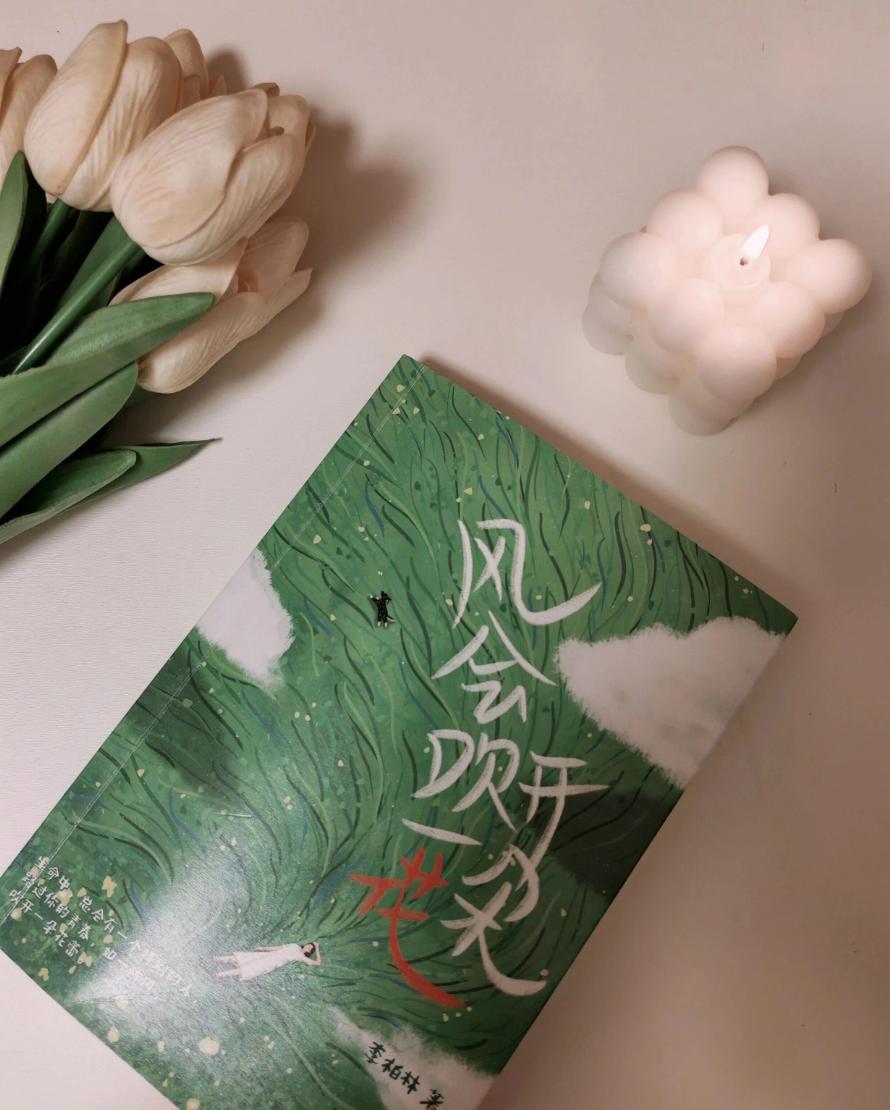 救命!这本治愈系散文,治好我的小镇自卑与精神内耗!