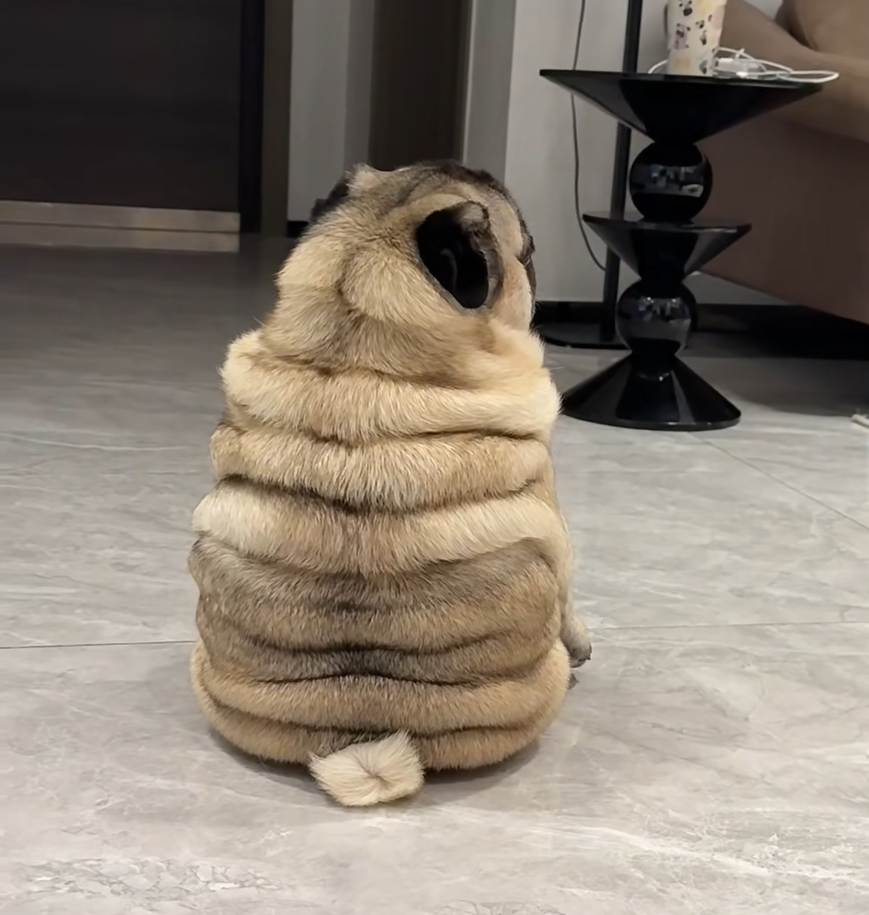 像个小蛋糕一样
