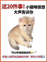 宠物生活